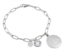 [I755-1] The Stainless Steel Collection - Crystal Charmer - Sliver